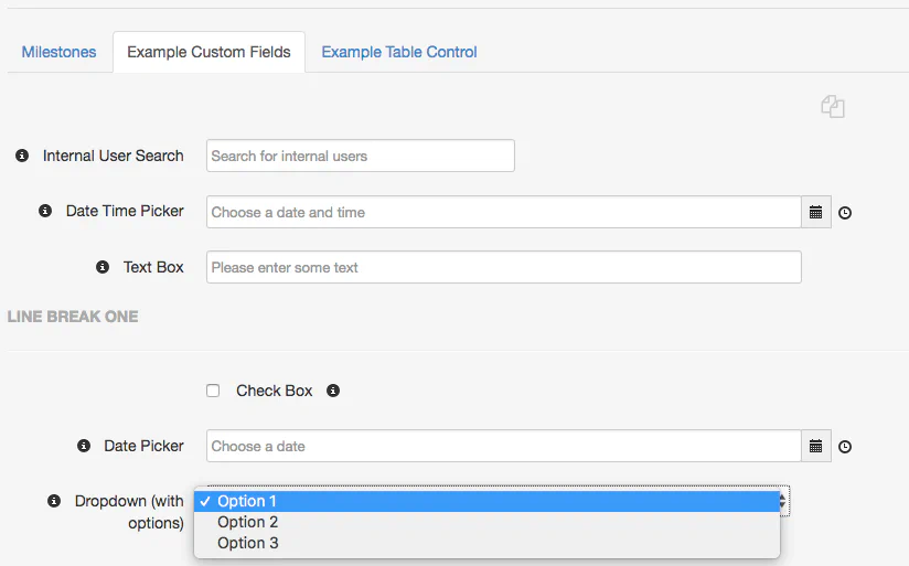 AgileCase Forms and Custom Fields